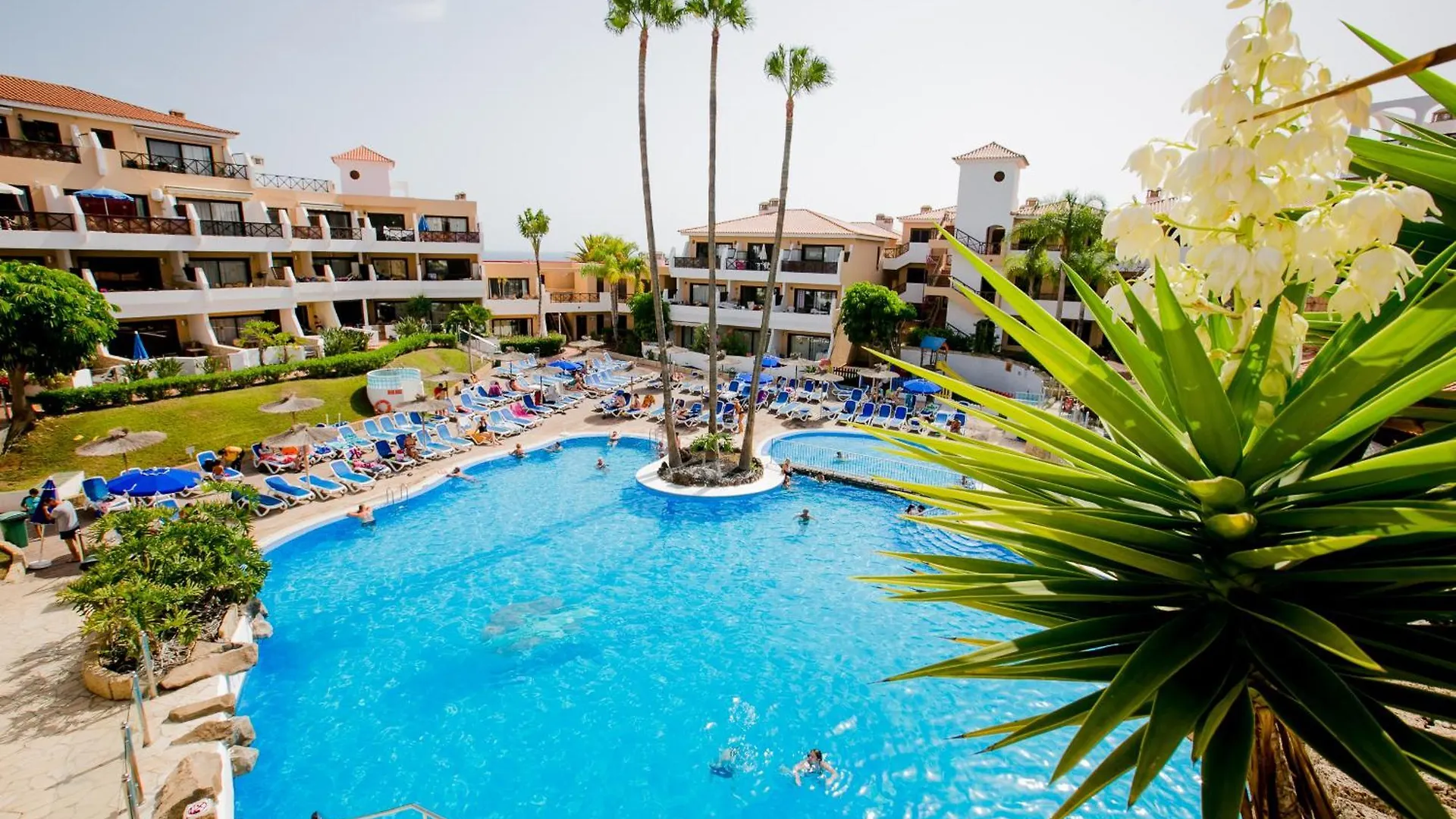 Sweet Escape In Golf Del Sur, Ah332 With Heated Pool And Ocean View Lägenhet San Miguel de Abona Spanien
